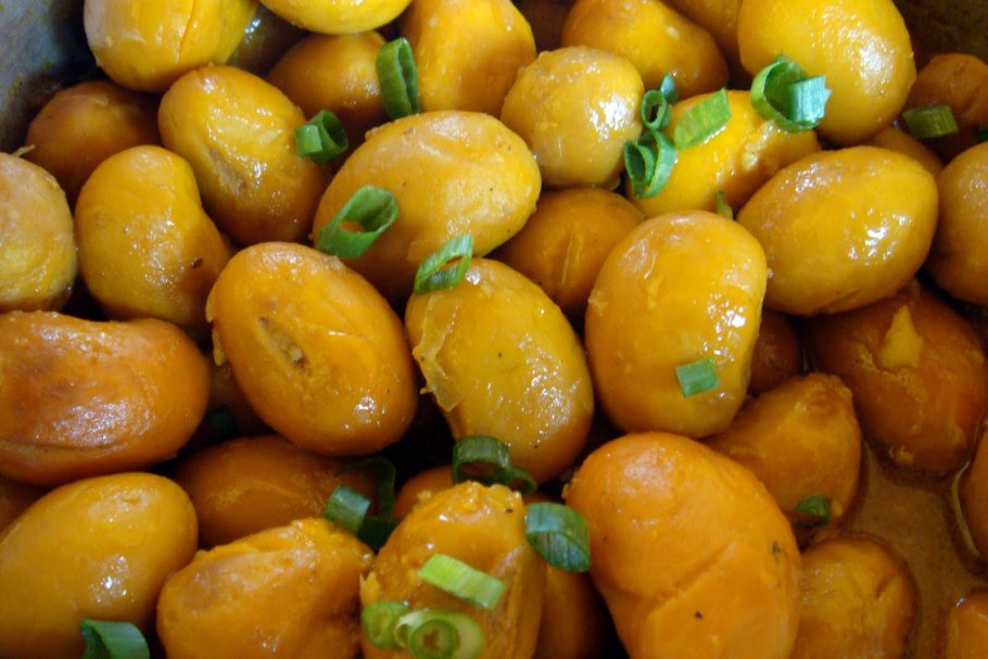 Семперфлоренс желтые