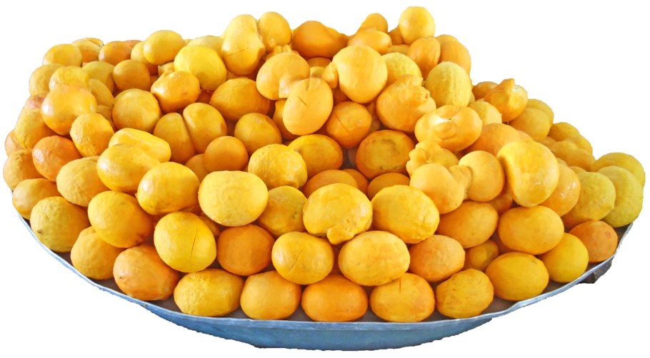 Пекам Тутонг