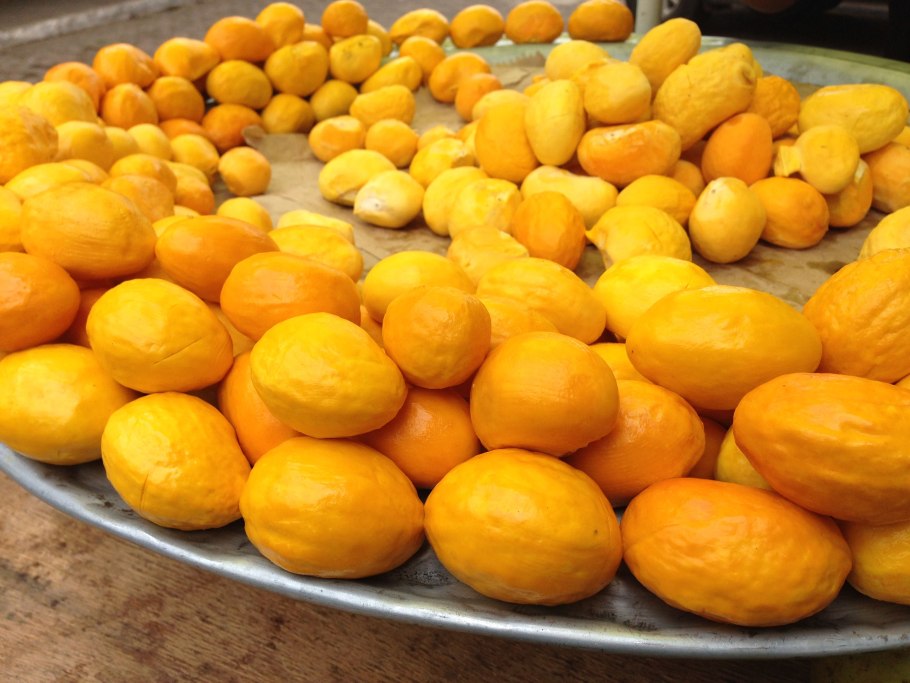 Цветы Бразилии