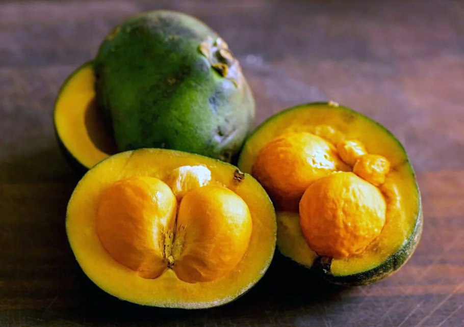 Кариокар бразильский