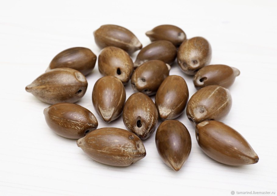 Семена пальмы