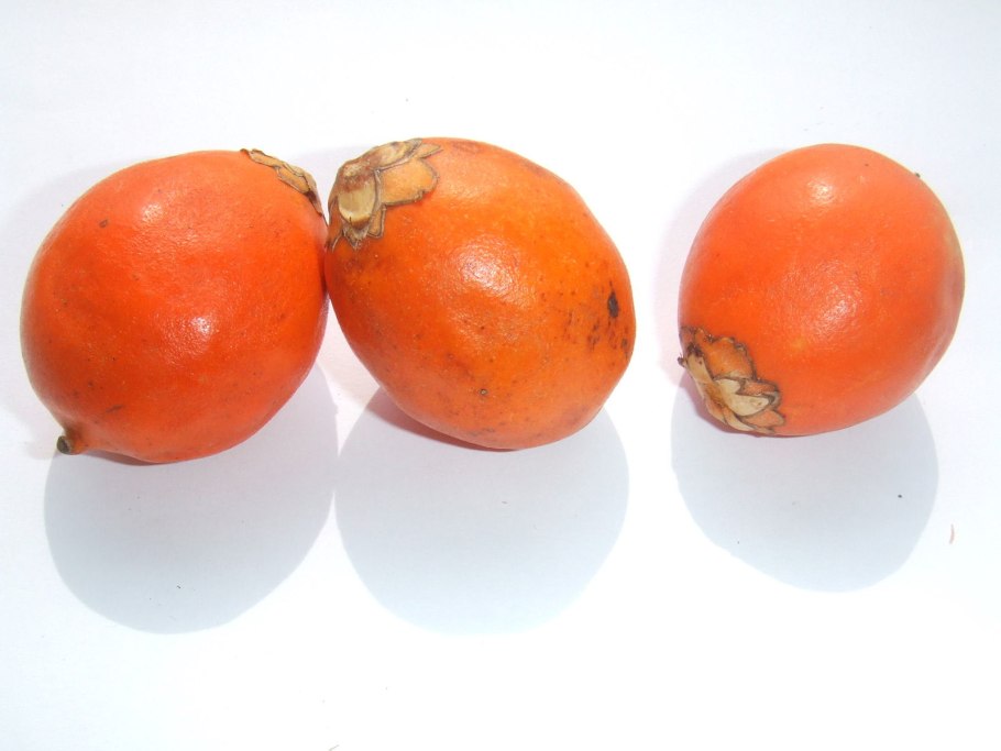 Астрокариум фрукт на белом фоне