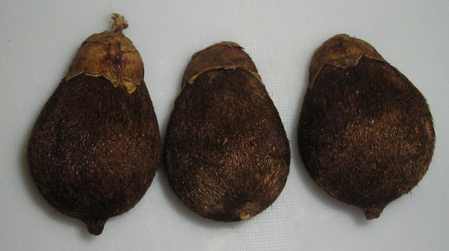 Фруктовая Пальма