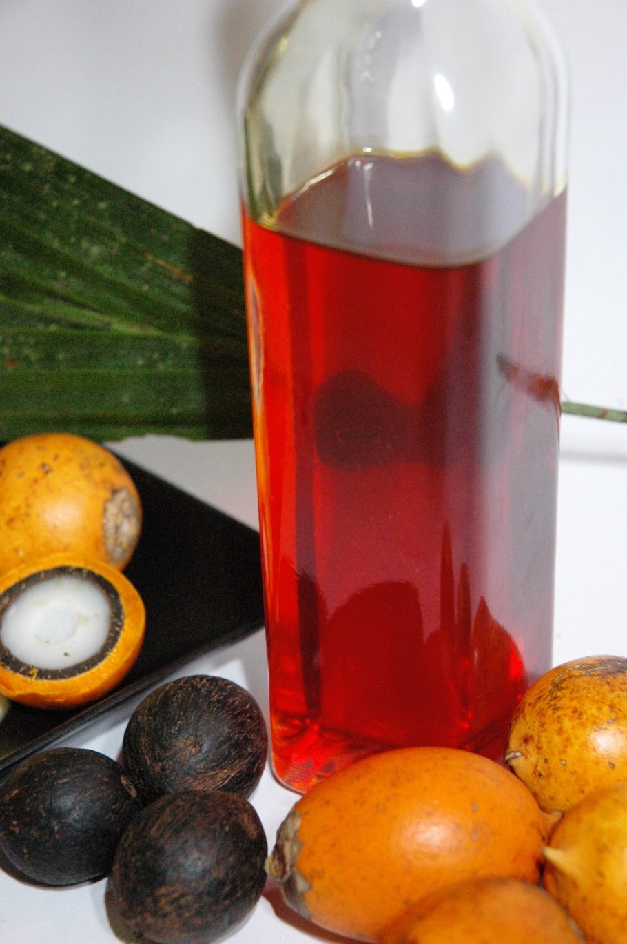 Юбея плоды семена