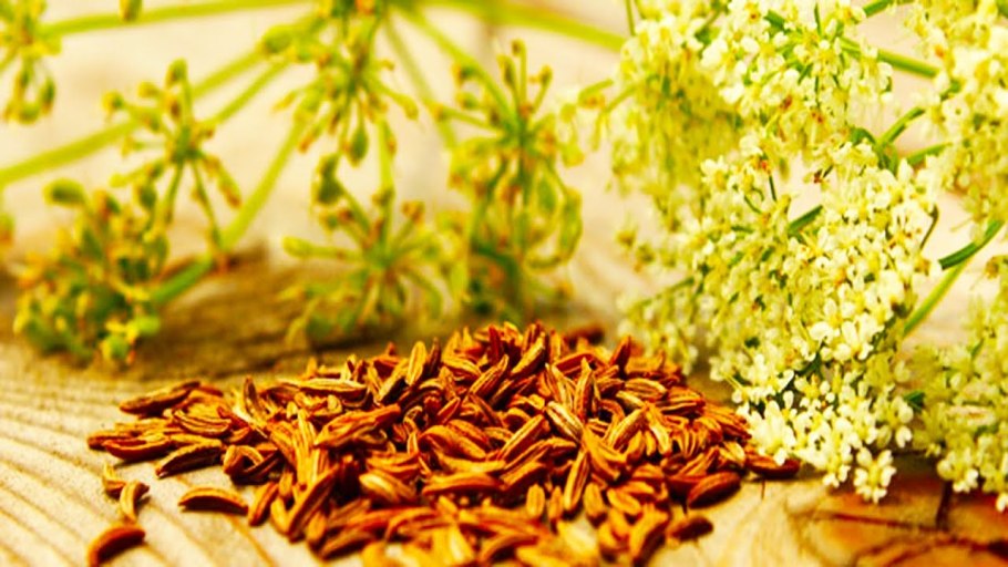 Мини экскаватор Kobelco sk025