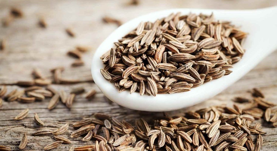 Светло салатовый цвет