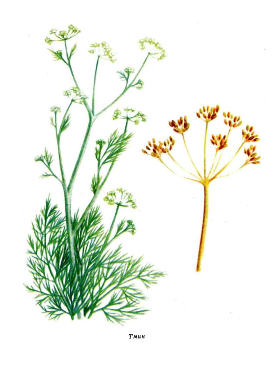 Брэдли Купер мальчишник в Вегасе 1