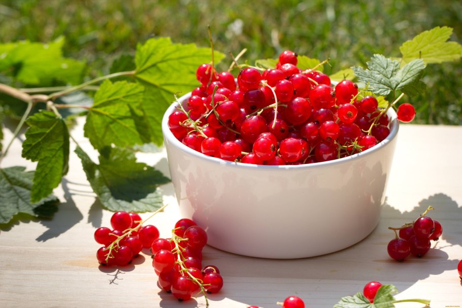 Смородина красная Асора