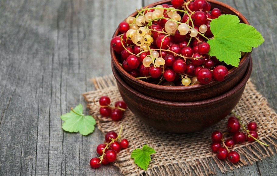 Смородина красная - ribes rubrum