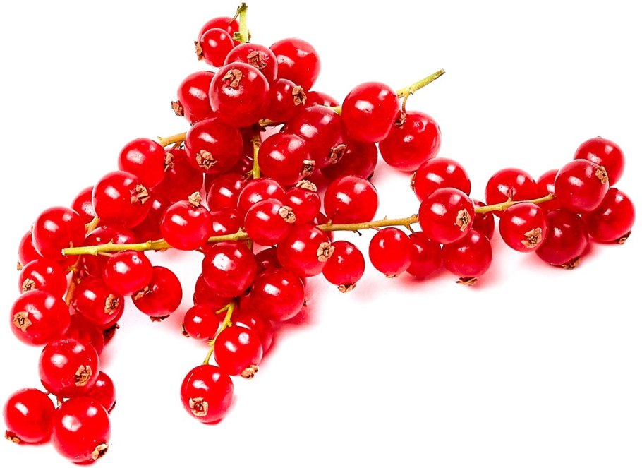 Красная смородина сорт Лапландия