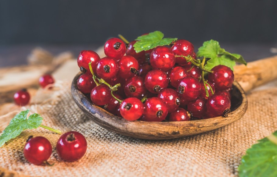 Смородина черная красная белая