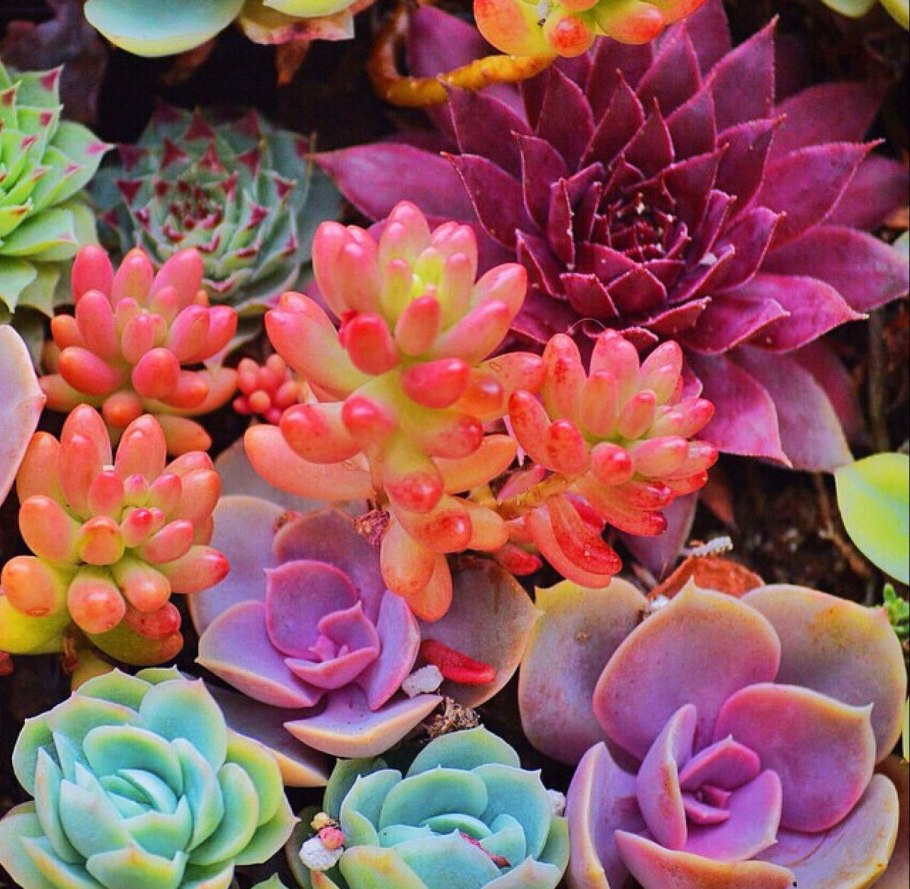 Национальный парк Хитачи Япония