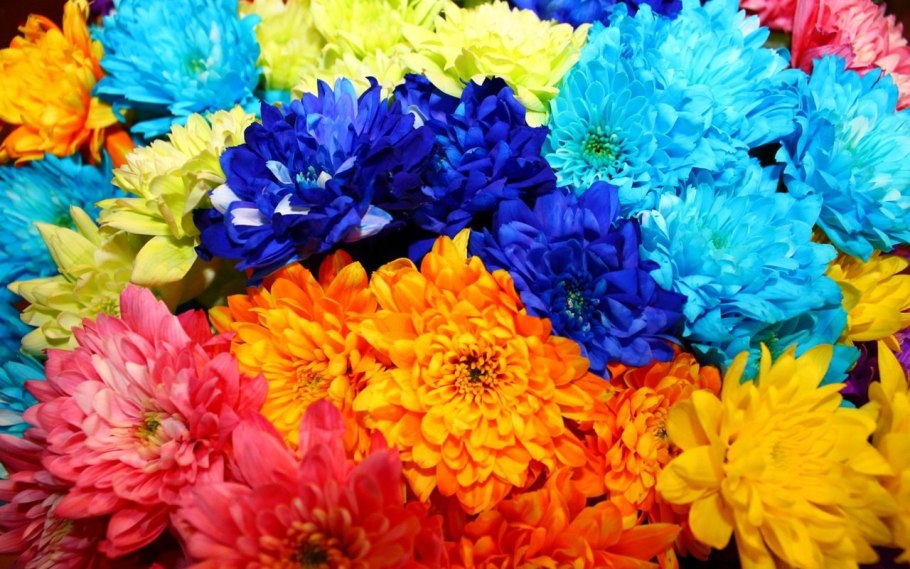 Яркие цветы