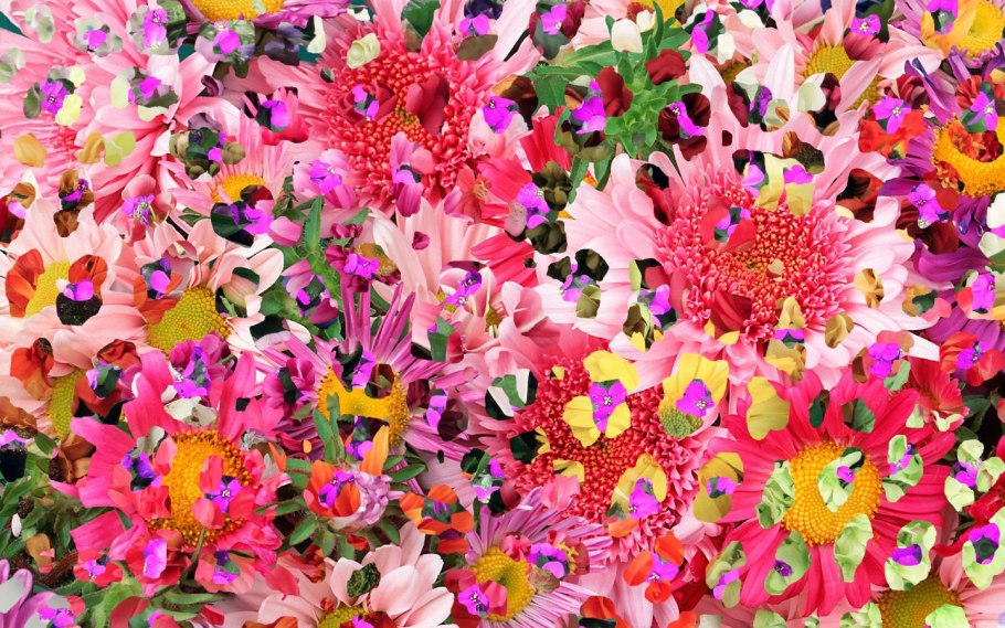 Разноцветная природа