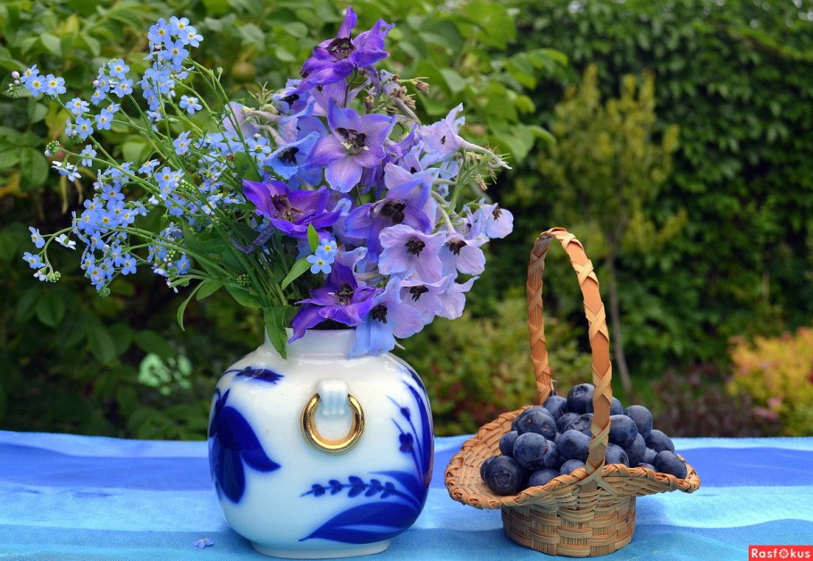 Цветы Эстетика