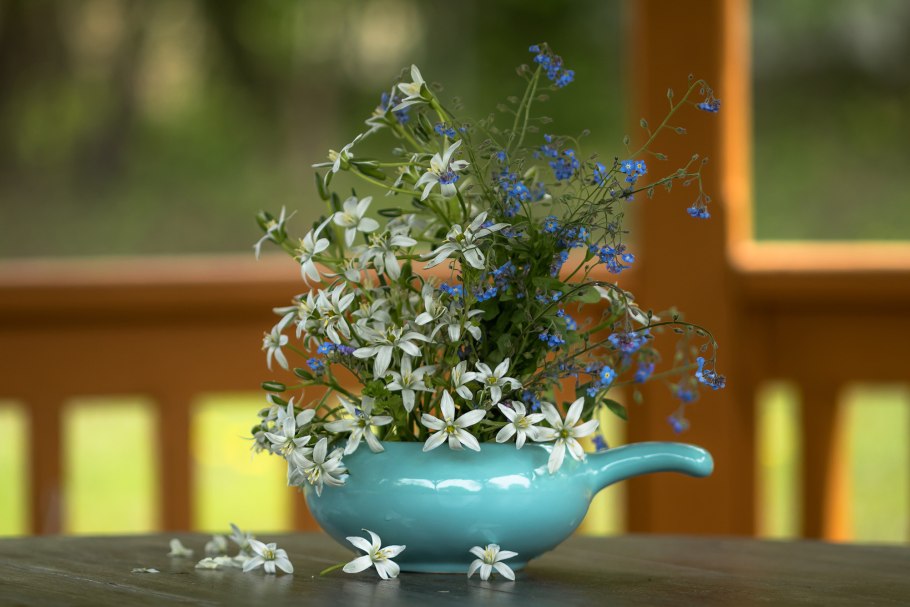 Композиция с голубикой