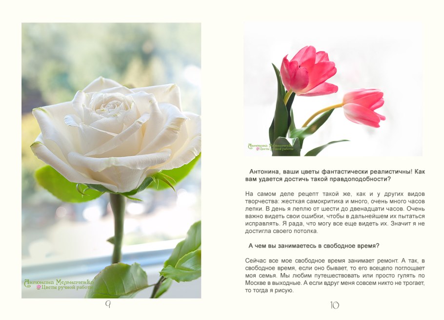 Природа цветы