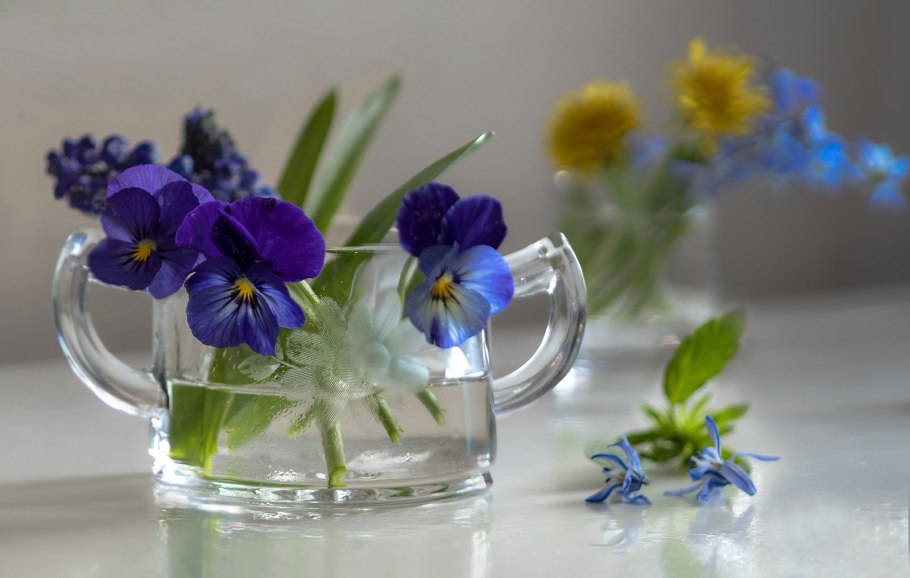 Магнолия динозавры