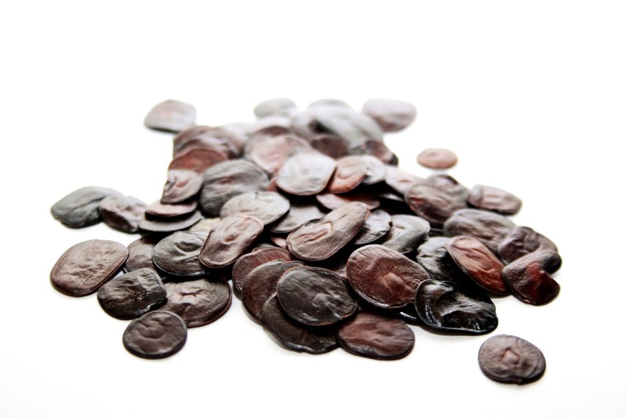 Ужевидный морской Крайт