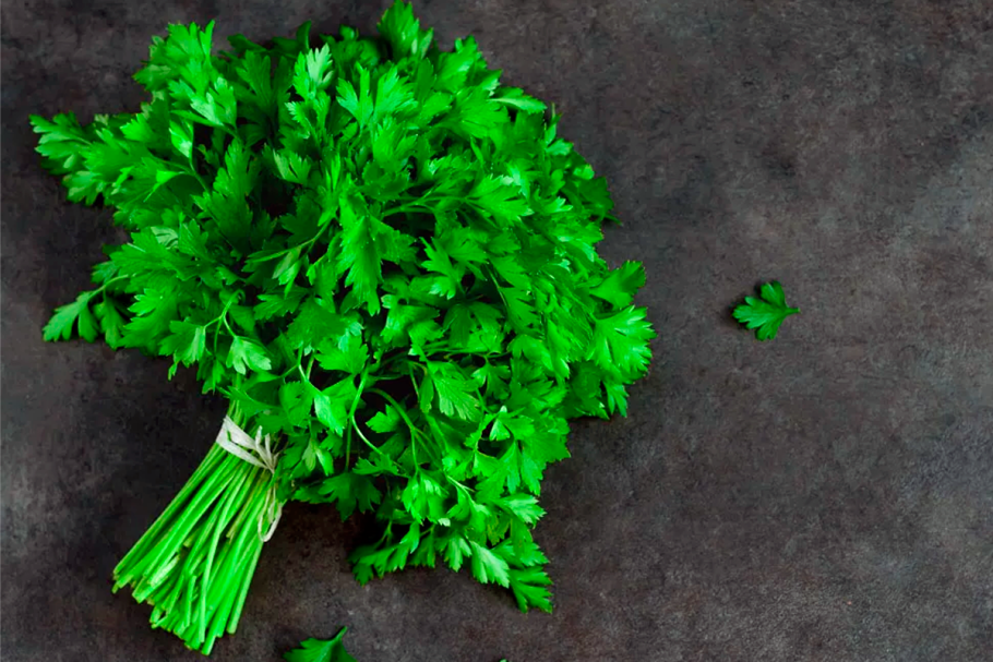 Петрушка Ақжелкен