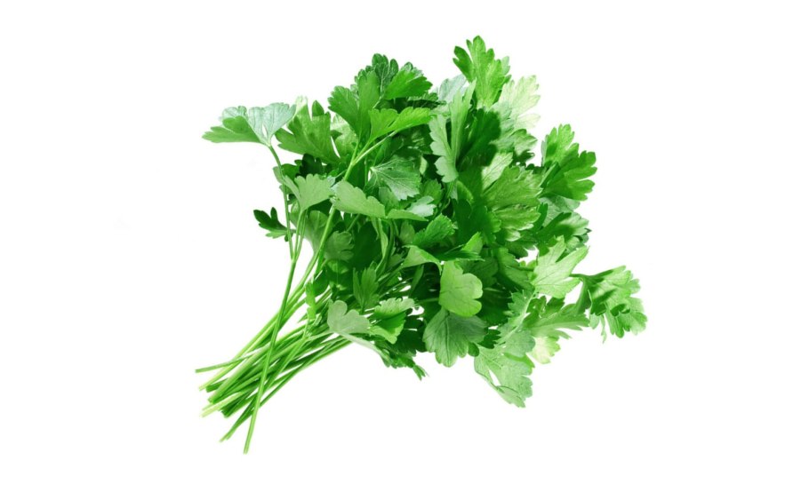Зелень кинза петрушка