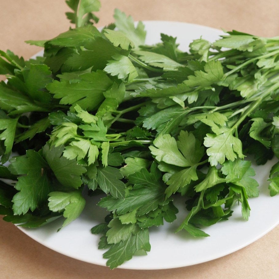 Листочек петрушки