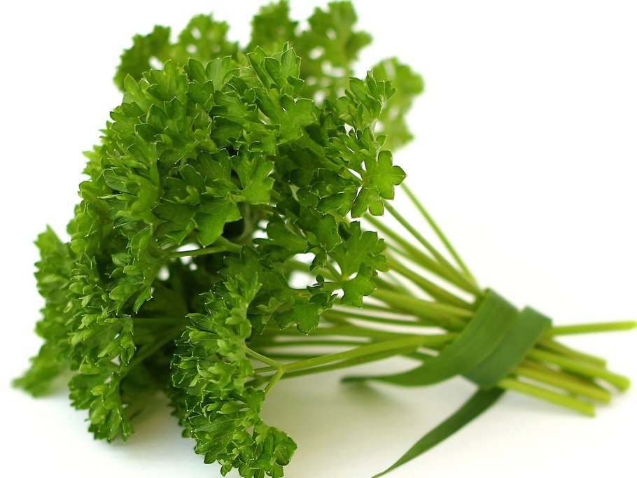 Зелень петрушка