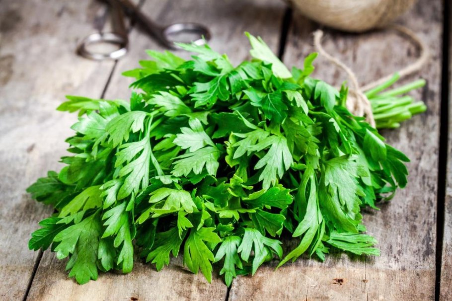 Петрушка parsley