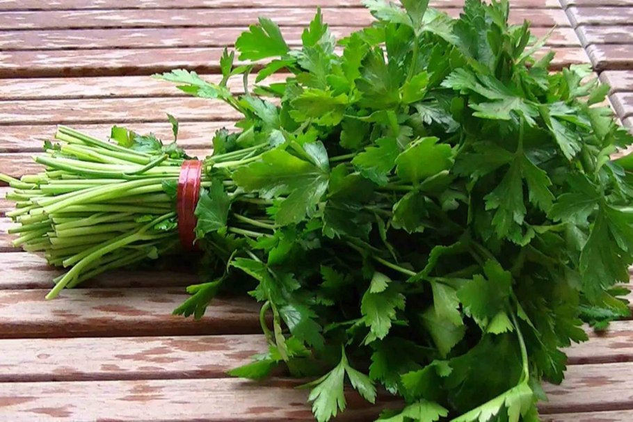 Петрушка фойдаси