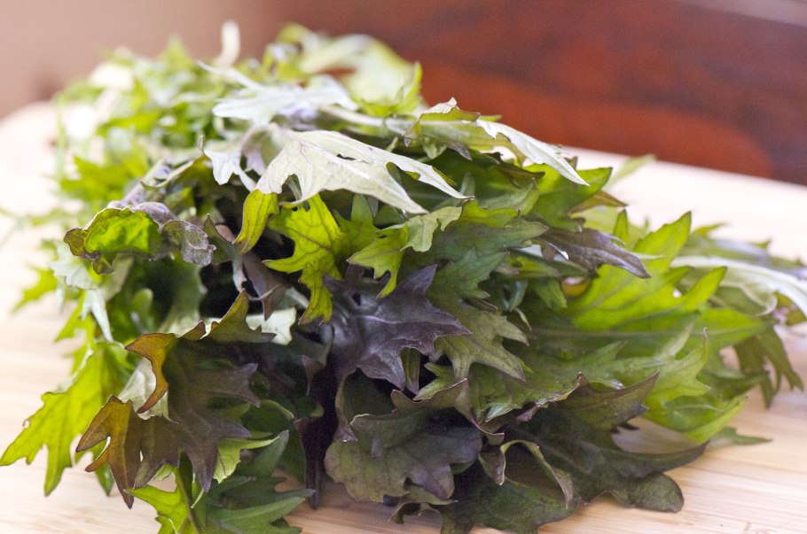 Капуста японская Мизуна