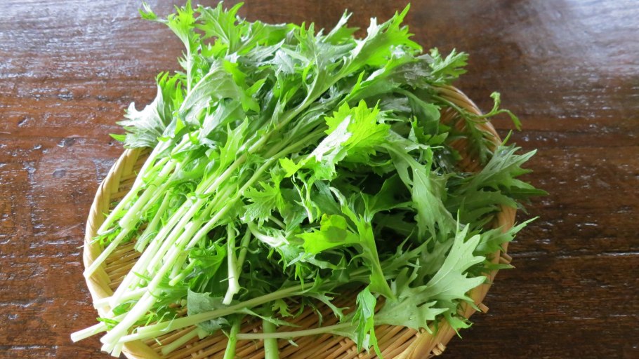 Мизуна зеленая капуста японская