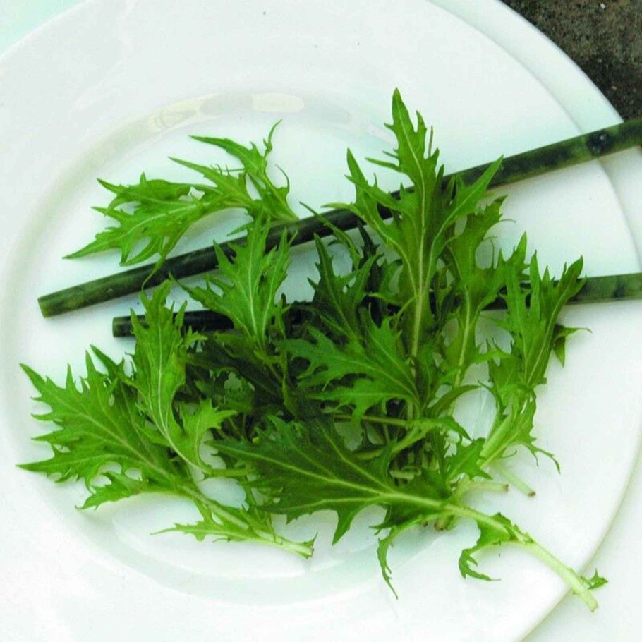 Капуста японская Мизуна