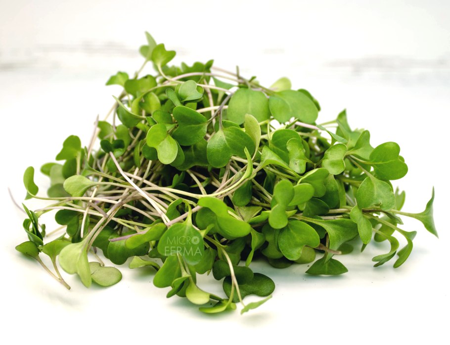 Как называется капуста с тонкими ажурными листьями