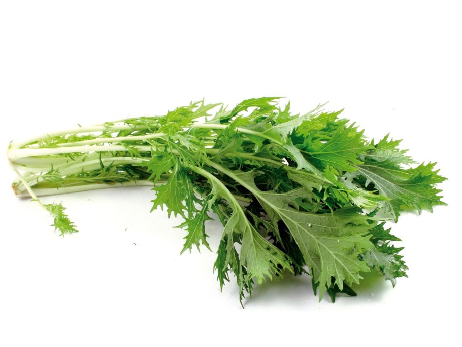 Микрозелень капуста японская Мизуна