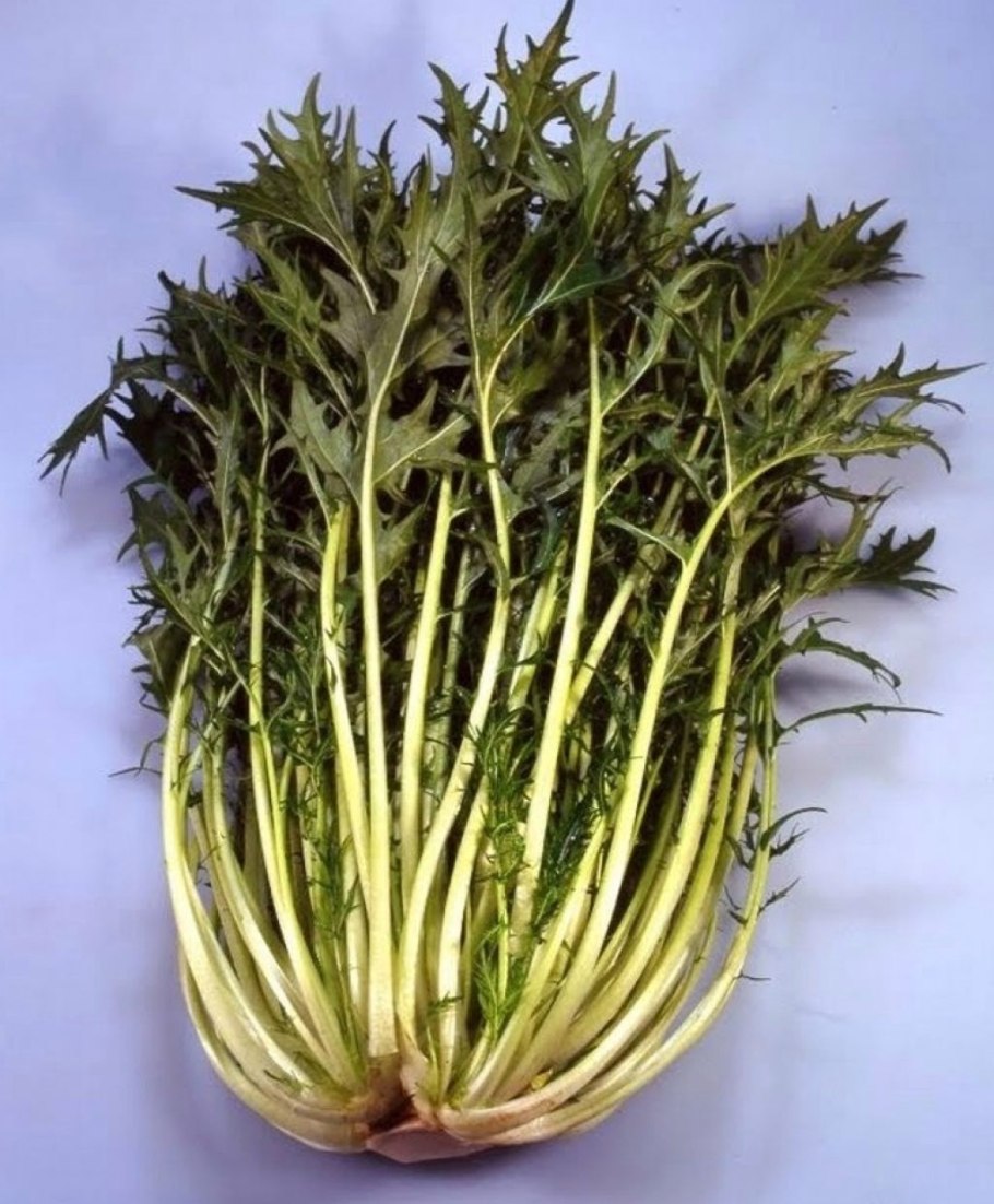 Мизуна зеленая