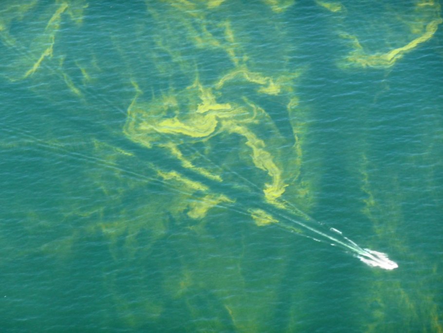 Шары Нептуна Тунис