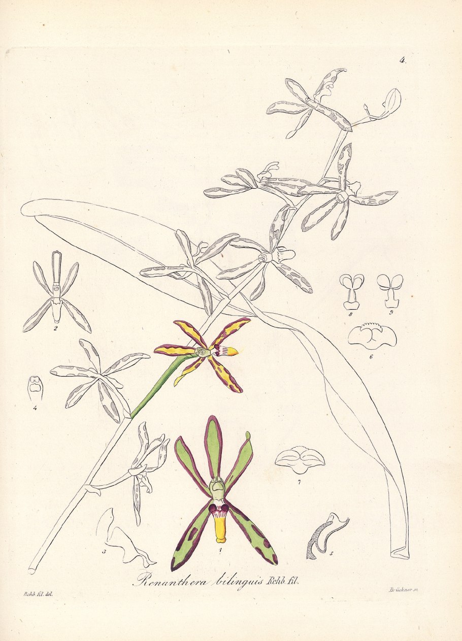 Человек паук 1994 комикс