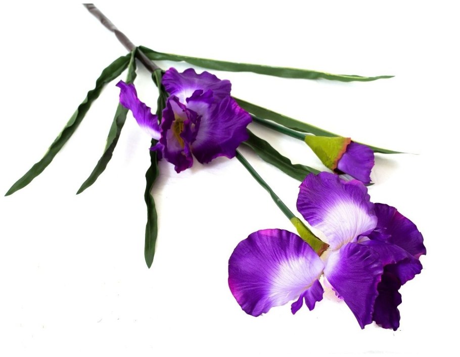 Мускари спринг микс