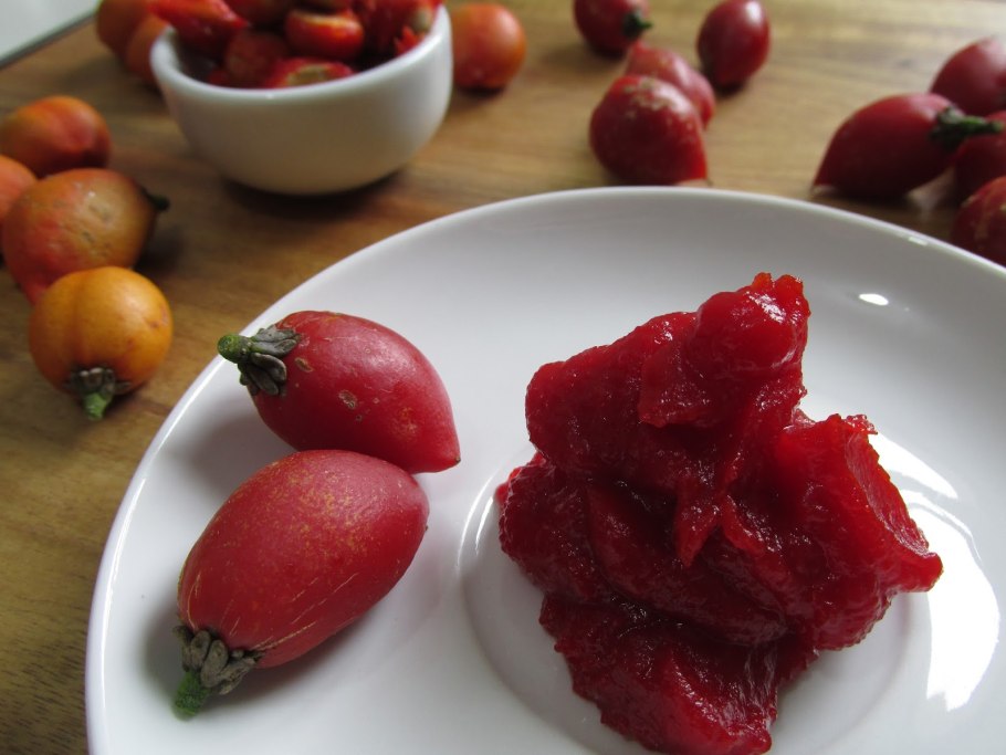 Олива дерево лох серебристый