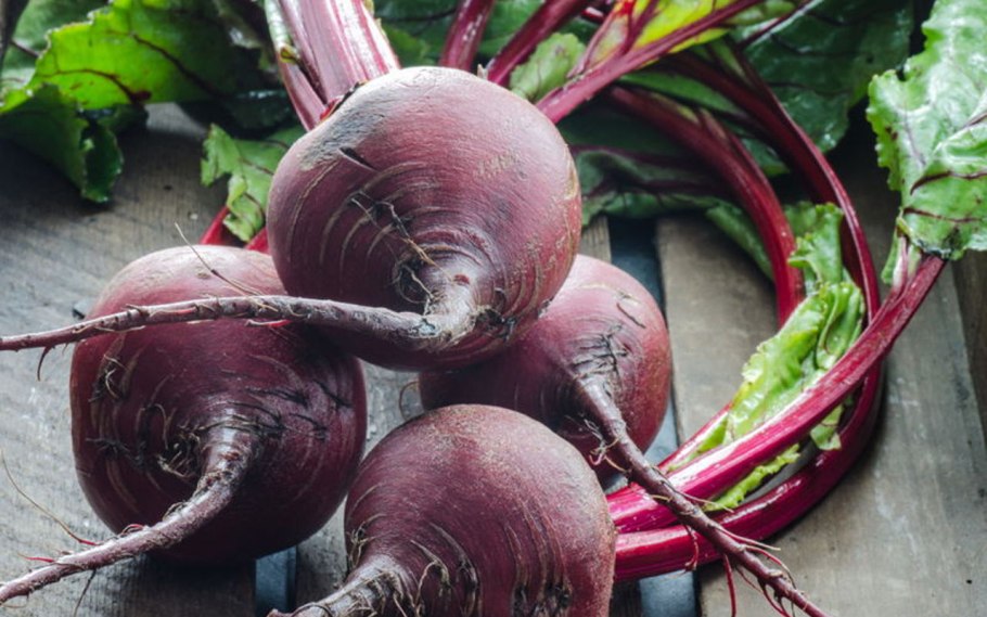 Свекла beetroot