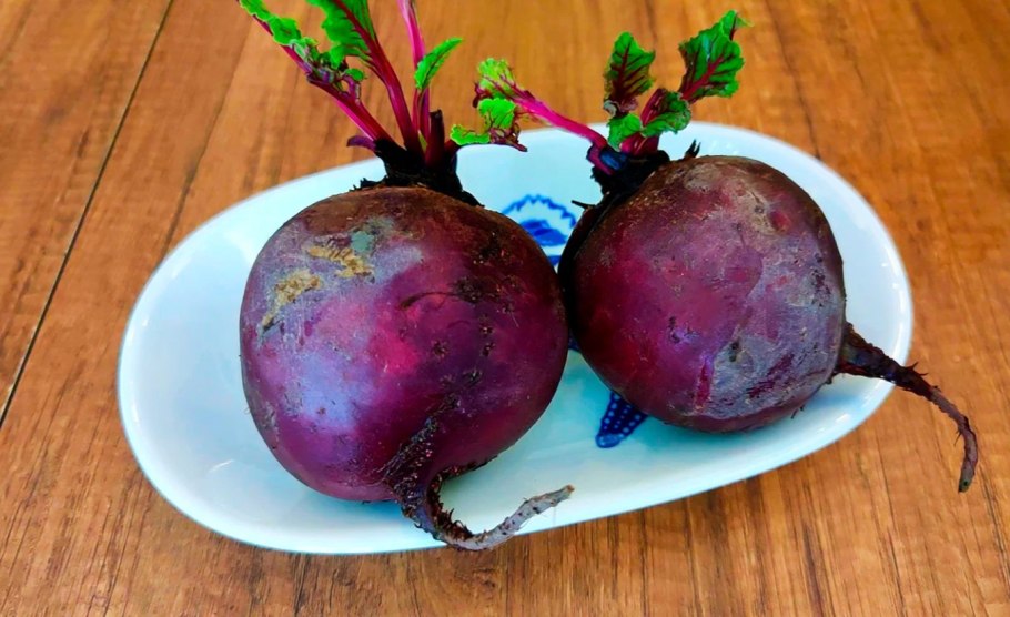 Защита растения свекла