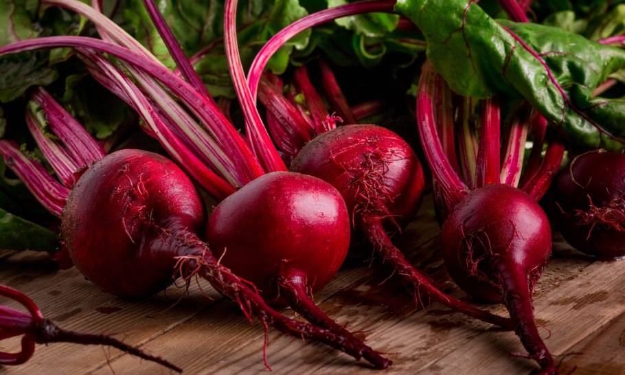 Свекла Детройт дарк ред