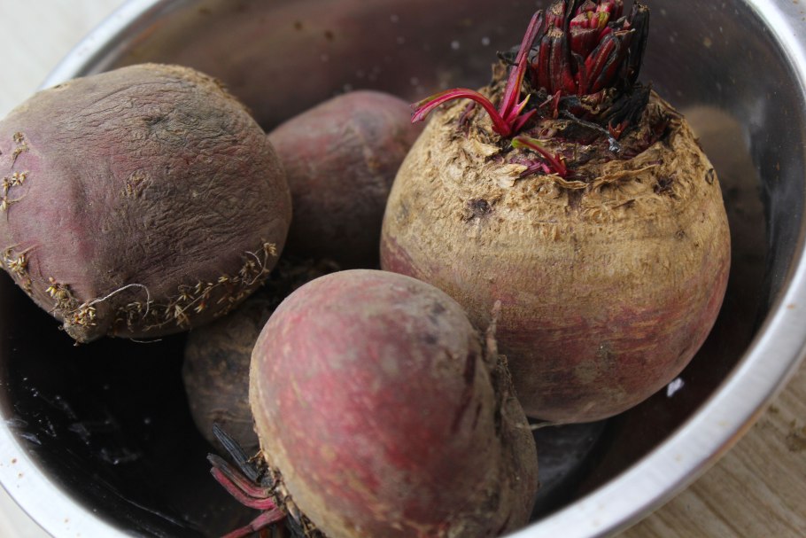 Свекла оттенок цвета