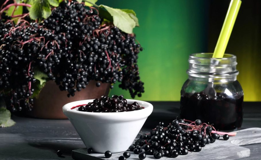 Бузина черная Ауреа