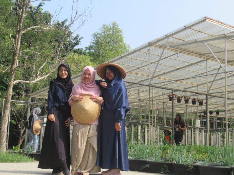 Аллиум Purple Sensation