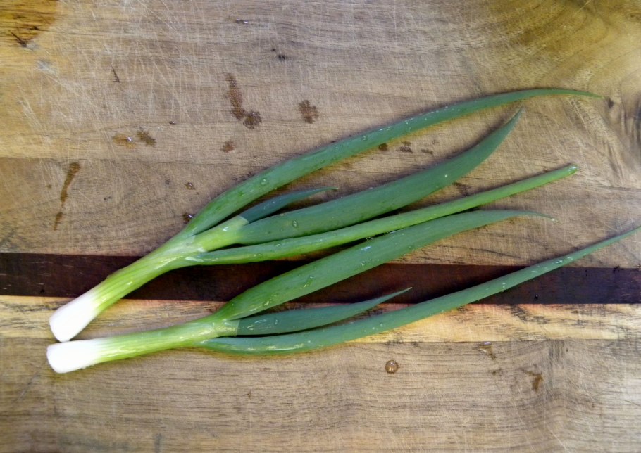 Allium schoenoprasum лук скорода