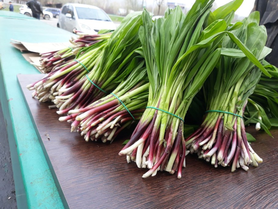 Лук шнитт 'curly Mauve'