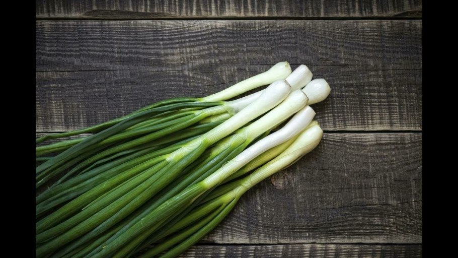 Сушка лука перьями вверх