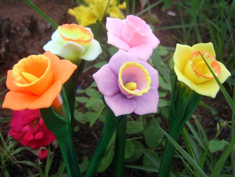 Нарцисс Narcissus Thalia