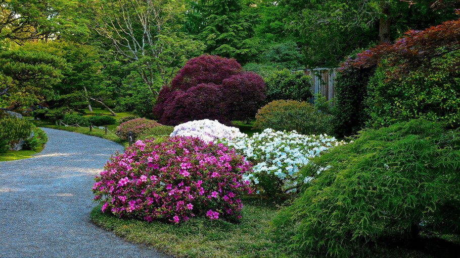 Прекрасный сад Елены Акимовой в Тверской области